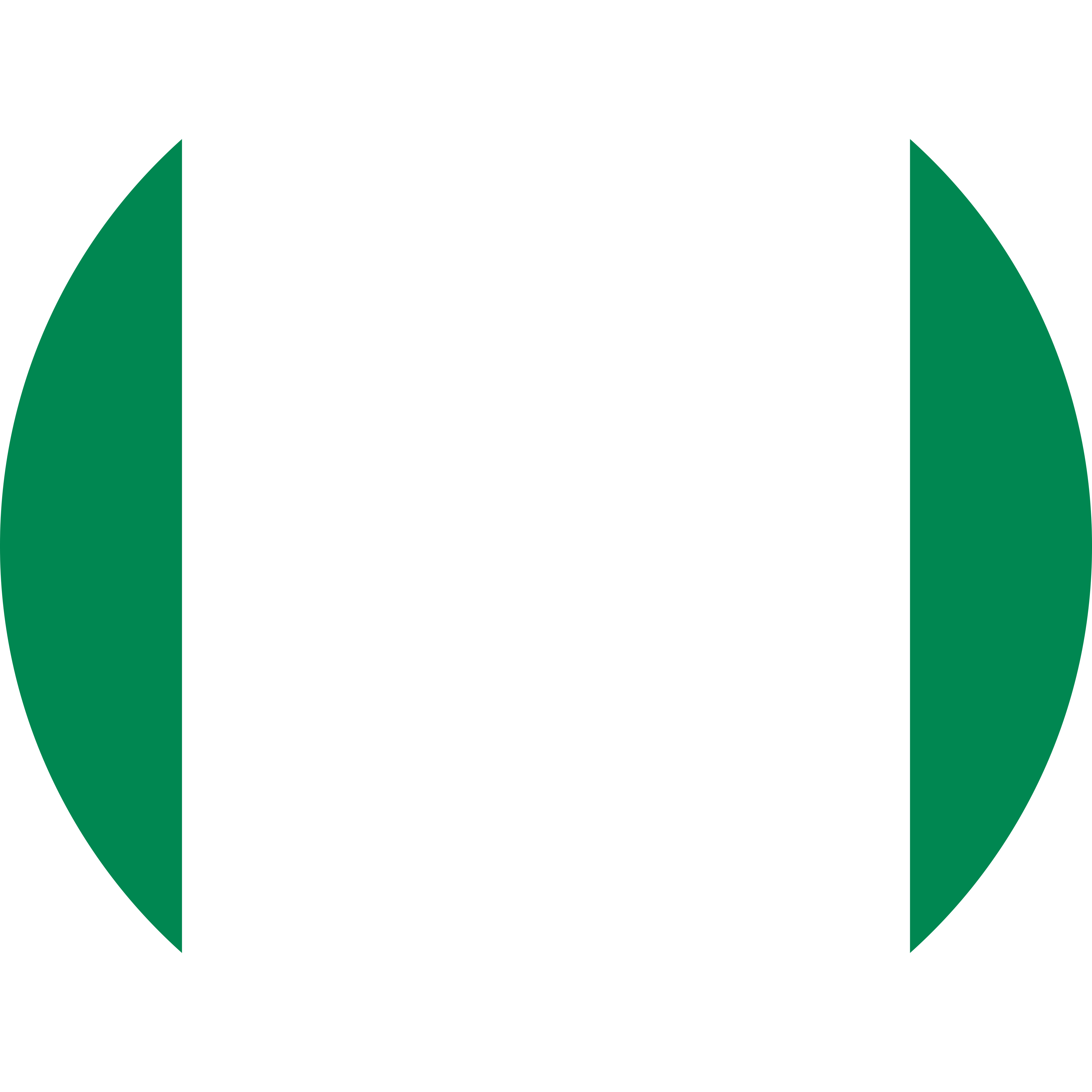 Flag_of_Nigeria_Flat_Round
